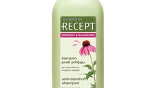 Sampon Antimatreata pentru Scalp Gras - Subrina Recept Intensive & Balancing Anti-Dandruff Shampoo, 400 ml