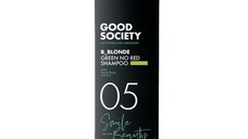 Sampon cu Pigmenți Verzi Artego GS05N No Red 250 ml