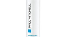 Sampon pentru păr gras Paul Mitchell Shampoo Two, 300 ml