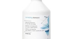 Sampon pentru par gras, Simply Zen, Normalizing Shampoo, 250 ml