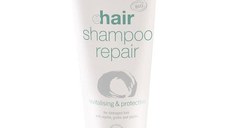 Sampon Reparator Bio cu Mirt si Gingko Biloba Eco Cosmetics, 200 ml