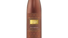 Sampon Reparator cu Ulei de Argan Si Keratina - Argan Professional Repair Shampoo with Argan Oil & Keratin, 500 ml