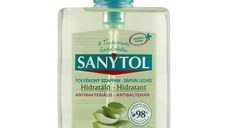 Sapun Lichid Antibacterian Hidratant Sanytol, 250ml