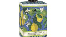 Sapun Lichid Vegetal cu Parfum de Lamaie - La Dispensa Florinda Sapone Liquido Limone della Costiera, 500 ml