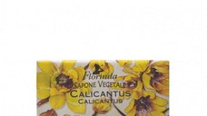 Sapun Vegetal cu Calicantus Florinda La Dispensa, 100 g