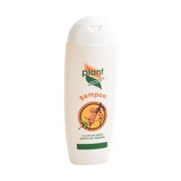 SHORT LIFE - Sampon cu Catina pentru Par Degradat Plant Activ, 200 ml - 1