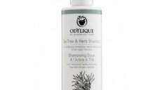 SHORT LIFE - Sampon cu Tea Tree si Plante Anti Matreata, Odylique by Essential Care, 200 ml