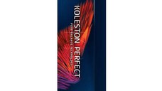 Vopsea Crema Permanenta - Wella Professionals Koleston Perfect Vibrant Reds, nuanta 55/66 Castaniu Deschis Intens Violet Intens