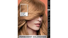 Vopsea de Par Permanenta Inspirata de Pantone - Syoss Professional Performance Permanent Coloration Inspired by Pantone 16-1337, nuanta 9_67 Coral Gold