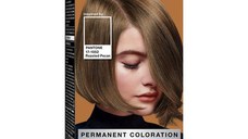 Vopsea de Par Permanenta Inspirata de Pantone - Syoss Professional Performance Permanent Coloration Inspired by Pantone 17-1052, nuanta 6_66 Roasted Pecan