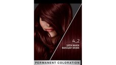 Vopsea de Par Permanenta - Syoss Professional Performance Permanent Coloration Baseline, nuanta 4_2 Mahogany Brown