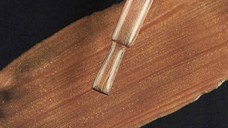 Ojă Semipermanentă Everin Selective 115 7ml – Auriu Bronz Metalizat (Antique Gold Shimmer)