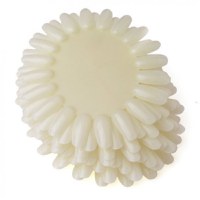 PALETAR EXPUNERE CULORI 20 POZITII - P-20N - Everin.ro - 1