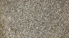 Poly-Acrylgel Sparkle Kievskaya 30gr-SPARKLE15 - SPARKLE15 - Everin.ro