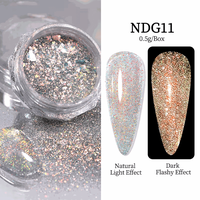 Sclipici Chrome Aurora NDG11 - Everin - 1