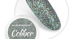 Sclipici fin cu efect holographic- Coliber Effect 09 - CE-09 - Everin.ro