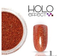 SCLIPICI HOLOGRAPHIC- 11 - HE-11 - Everin.ro - 1