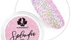 Sclipici Splendor Effect Nr.5 - Everin