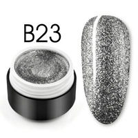 Shiny Platinum Color Gel B23 - B23 - Everin.ro - 1