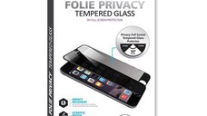 Folie Protectie Sticla Lemontti Privacy LFSPI13MBK pentru iPhone 13 Mini(Transparent/Negru)