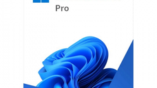Microsoft Windows 11 Professional 64-bit, Engleza, OEM, DVD
