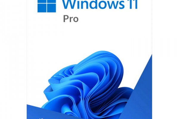 Microsoft Windows 11 Professional 64-bit, Engleza, OEM, DVD