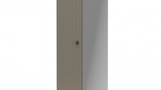 Dulap DOMINICA, 2 usi, cu oglinda, taupe + stejar silverjack, 70x41x199 cm