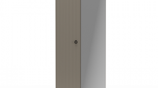 Dulap DOMINICA, 2 usi, cu oglinda, taupe + stejar silverjack, 70x41x199 cm