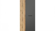Dulap ESTEBAN, 2 usi, grafit + stejar evok, 60,1x36x195 cm