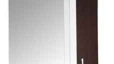 Oglinda cu iluminare LED, PROMO, wenge, 60x60 cm