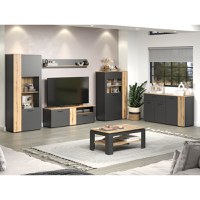 Set Living ESTEBAN, 6 piese, 2 vitrine, 2 comode, masuta, raft suspendat, grafit + stejar evok 320x42x195 cm - 1