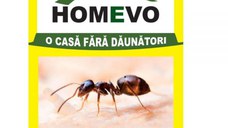 Capcană Naturală pentru Furnici HOMEVO