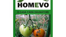 Protectie naturala impotriva moliei Tuta Absoluta la tomate