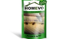 Pulbere naturala anti plosnite de pat 50g