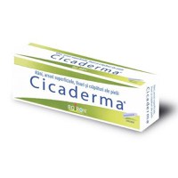 Cicaderma unguent 30 g - 1