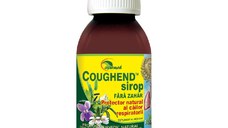 Coughend sirop fara zahar 100ml Ayurmed