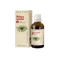 Dacia Plant Branca Ursului tinctura x 50ml - 1