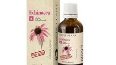 Dacia Plant Echinacea tinctura fără Alcool x 50ml