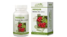 Dacia Plant - Merisor x 60 cpr