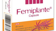 Femiplante 30 capsule Schaper & Brummer