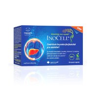 InoCell 500 mg, 60 capsule - 1
