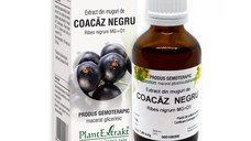 PlantExtrakt Gemoderivat din muguri de COACĂZ NEGRU 1 x 50ml