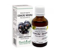 PlantExtrakt Gemoderivat din muguri de COACĂZ NEGRU 1 x 50ml - 1