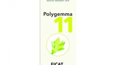 PlantExtrakt Polygemma 11 ( ficat-detoxifiere ) x 50 ml