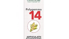 PlantExtrakt Polygemma 14 ( articulatii-detoxifiere ) x 50 ml