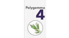 PlantExtrakt Polygemma 4 (sinusuri) x 30 ml