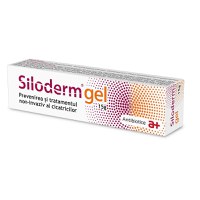 Siloderm gel 15g Antibiotice - 1
