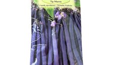 Agrosem Trionfo Violetto - seminte de fasole urcatoare mov, 10 g