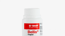 Bellis 20 gr fungicid sistemic (mar,par) BASF