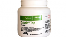 Cabrio Top 200 gr fungicid sistemic si de contact BASF (vita de vie, tomate)